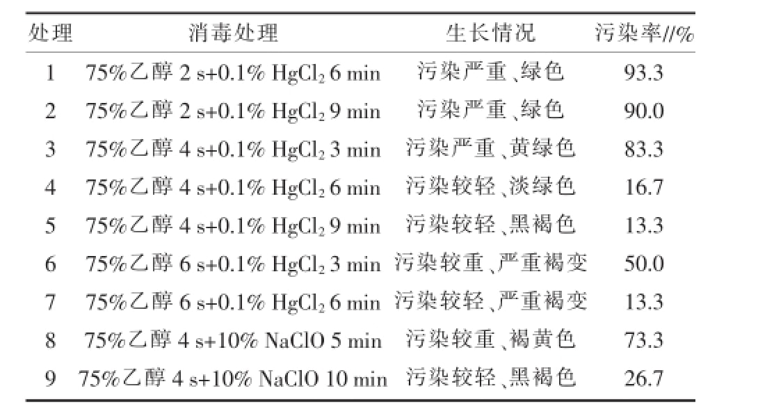 深夜视频免费在线观看室