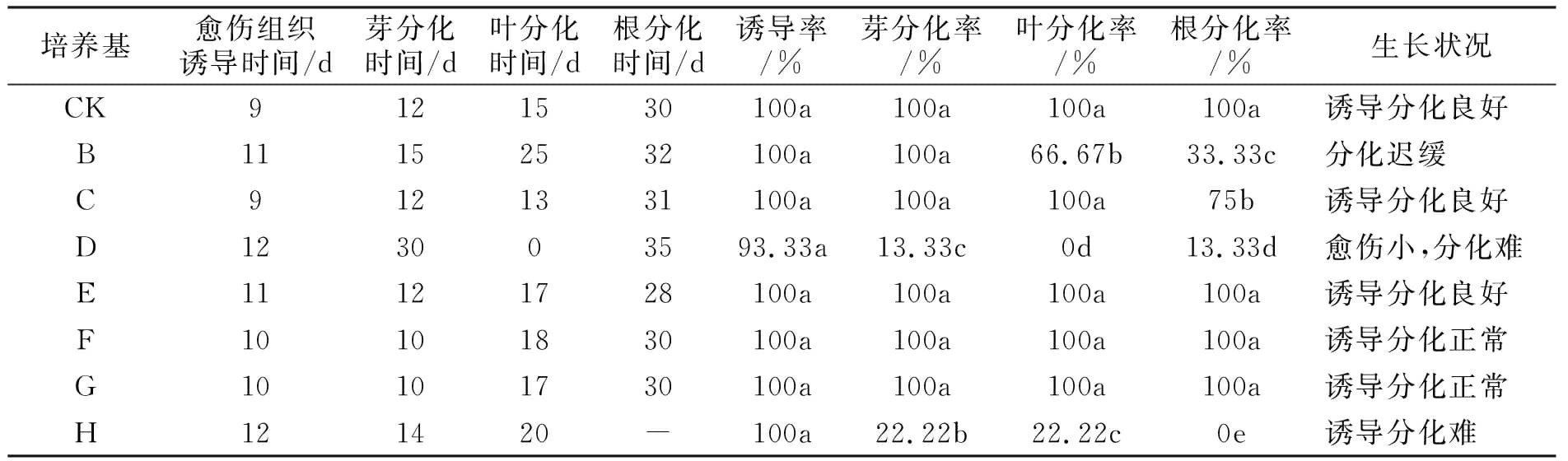 深夜视频免费在线观看设计图