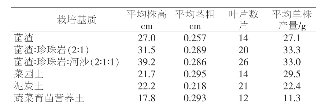 黄精深夜视频免费在线观看苗移栽技术研究