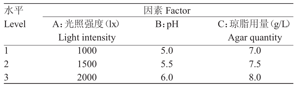 深夜视频免费在线观看室设计