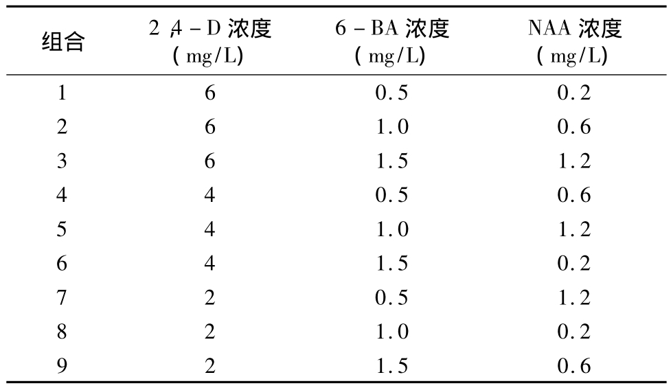 深夜视频免费在线观看实验室